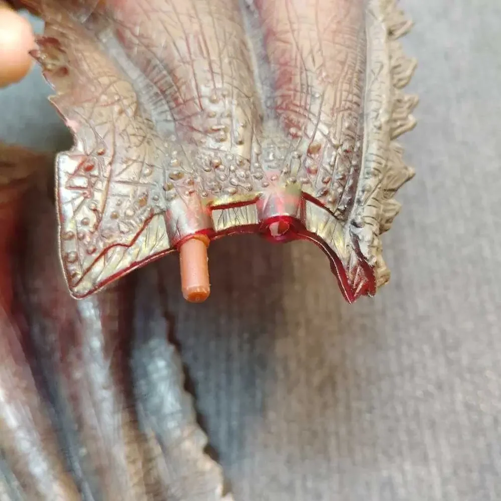 COLOR:Brown dragon wings